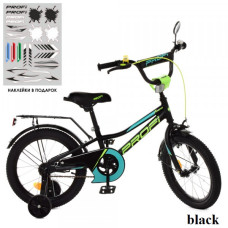Дитячий двоколісний велосипед Profi Y16224 Prime (black)